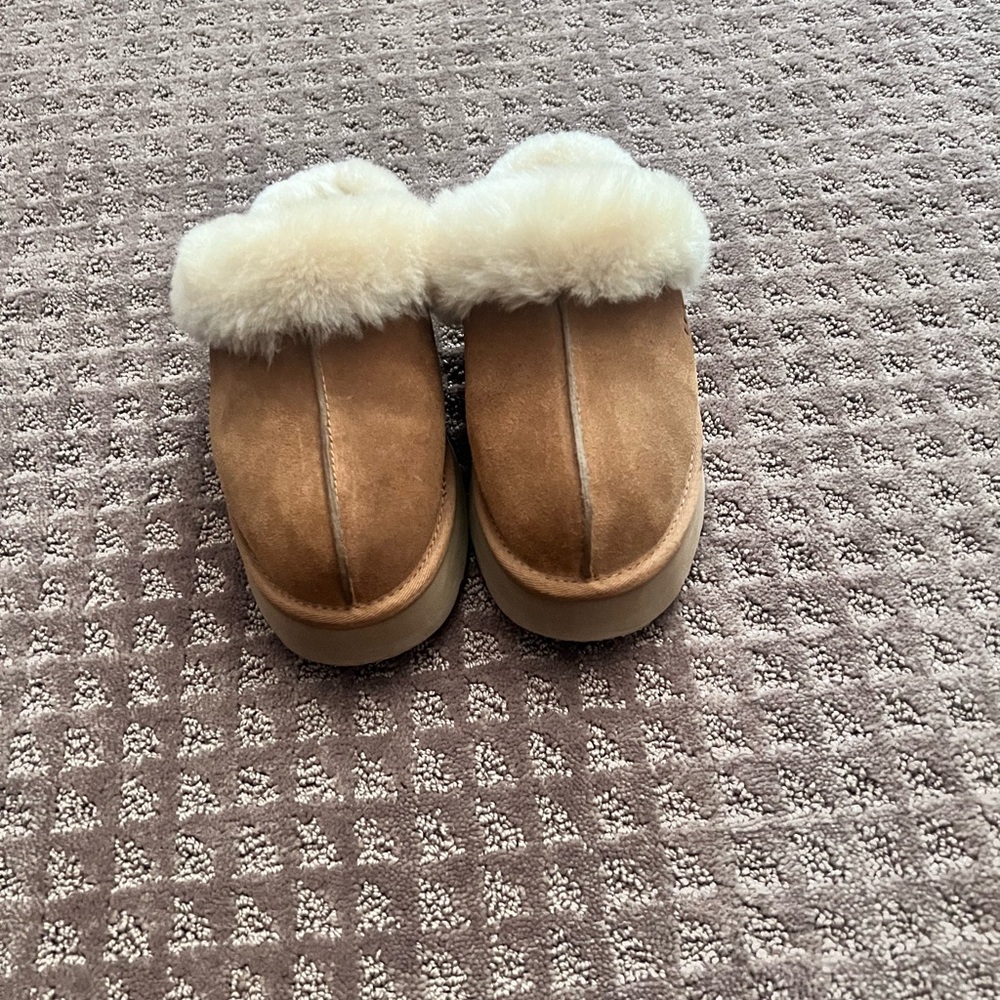 Ugg Disquette - Chestnut